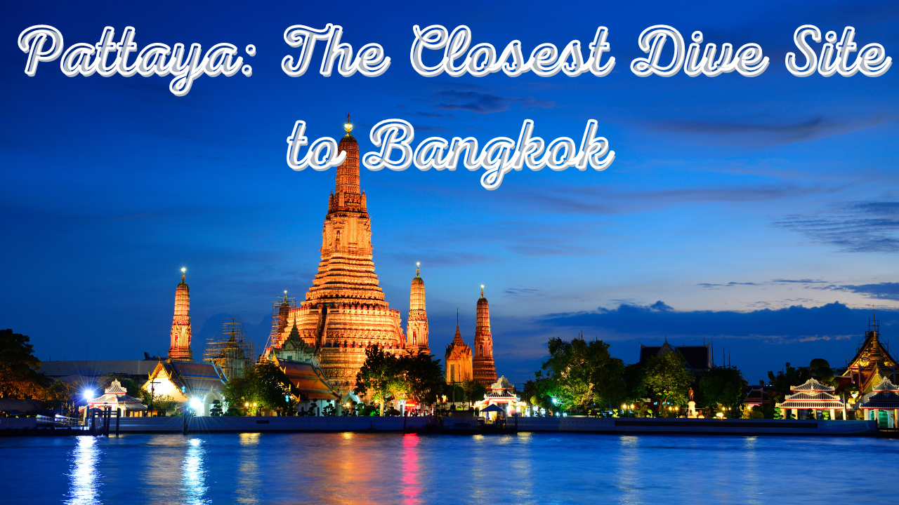 Pattaya The Closest Dive Site to Bangkok