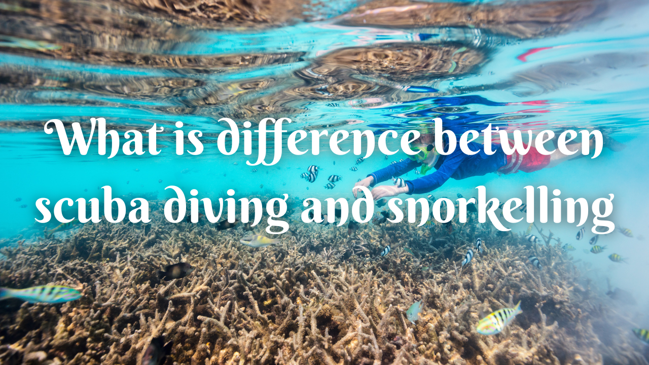 What is difference between scuba diving and snorkelling